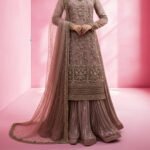Damini - Image 3